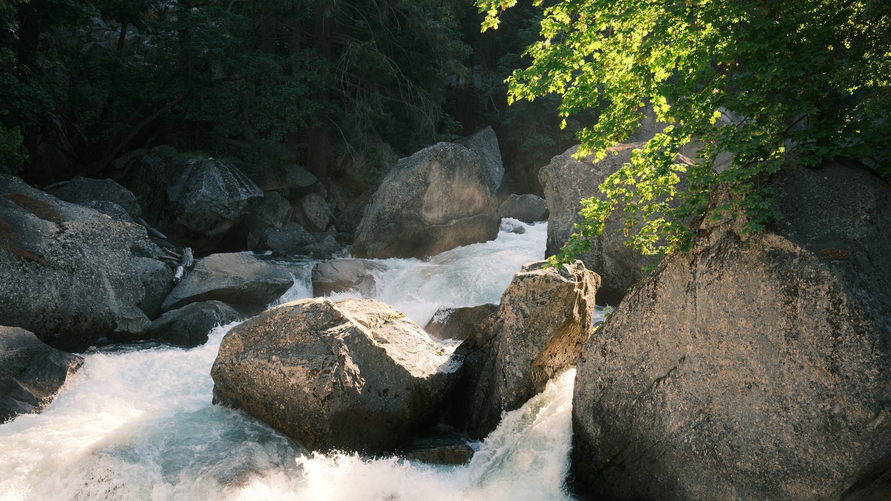 Gallery photograph 4